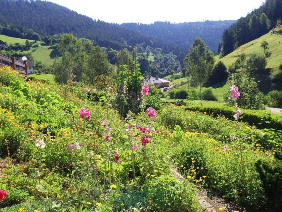 Gaestehaus Heimenberg Bad Rippoldsau-Schapbach Esterno foto